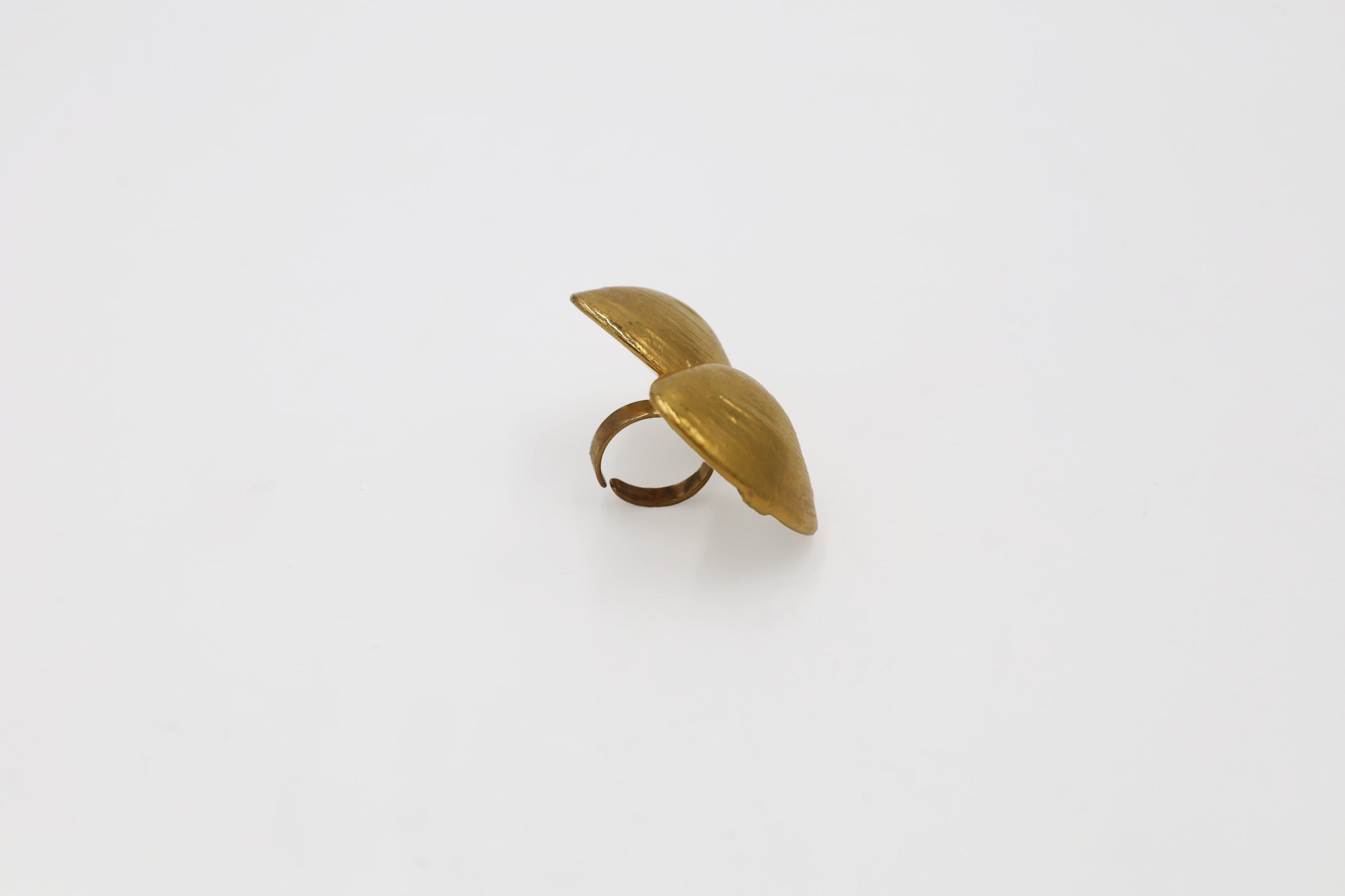 RE-NACIMIENTO RING